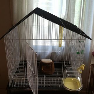 Large Bird Cage From Pet Smart Supplies Bath Feeders Nest More