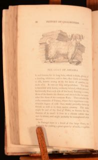  General History Of Quadrupeds Thomas BEWICK Animals Engravings Illus