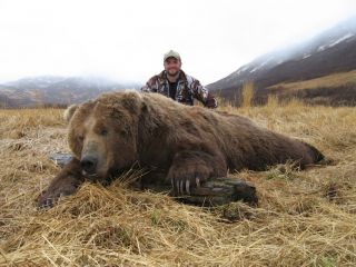 Alaska Hunting DVD Moose Grizzly Bear Sheep Deer Rifle
