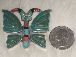Notice the size of this Butterfly compared to a quarter, so its big 