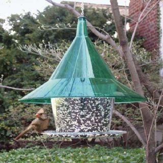   proof bird feeder the arundale mandarin sky cafe squirrel proof bird