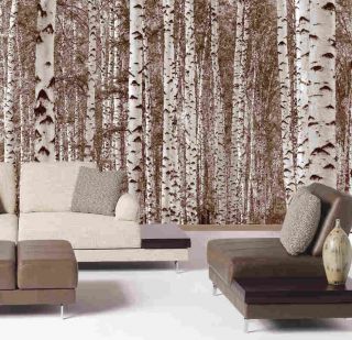 Birch Forest Trees Sepia Wall Mural 12Wide by 8High