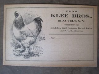 Antique c1905 Klee Bros Blauvelt NY Poultry Exhibition Form Chicken 