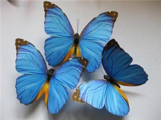 12 Blue Butterfly for Wedding or Home Decoration 10cm
