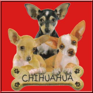 Chihuahua Puppies Dog Breed Bone Sweatshirt s 2X 3X 4X