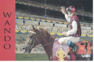   Thoroughbred Race Horse Postcard Art Artist Signed Robert Clark