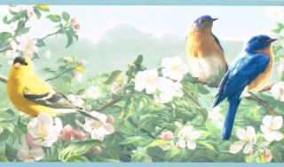 Eastern Blue Bird Cardinal Plus Finch Country Blue Edge Wallpaper 