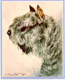 Bouvier Des Flandres 2 Dog Print Signed by R Maystead
