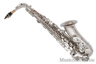   EB Alto Saxophone Sax Lazarro 11 Reeds Tuner Book Case Care Kit