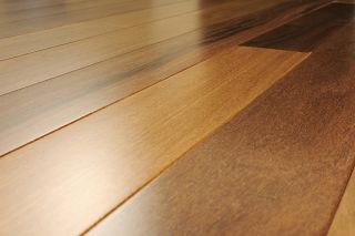   Solid Hardwood Brazilian Teak (Cumaru) Floor Natural   Top View