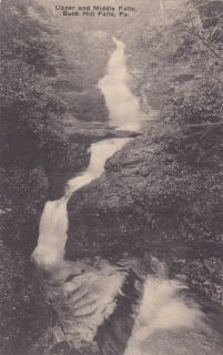 Buck Hill Falls PA Upper and Middle Falls Vintage Waterfall Postcard 