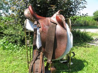 Australian Stock Saddle   WILD BRUMBY POLEY Queensland Outrider   17 