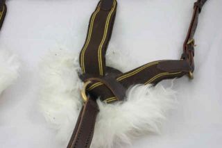 Bell Busk Hawk 5 Point V Check Breastplate Martingale All Sizes BK BN 