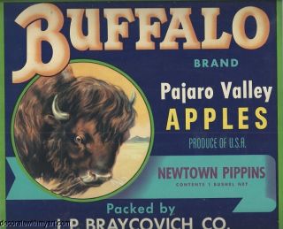 Old Buffalo Brand 1930s Apple Crate Label Watsonville California 