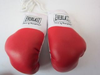 Everlast Mini Boxing Gloves Souvenir Replica 2pr Red New Hang Mirror 
