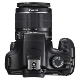 Canon EOS Rebel T3 Digital SLR 3 LENS Bundle