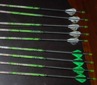 Carbon Express Pile Driver Hunter 350 with Blazer Vanes 29 5 10 Arrows