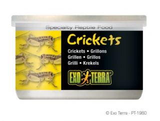 Exo Terra Reptile Regular Crickets Canned Food 1 2oz PT1960