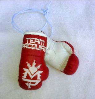Red Team Pacquiao Philippines Boxing Mini Gloves