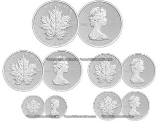 Canada 2013 25th Anniversary SML Silver Maple Leaf 5 Coin Pure Silver 