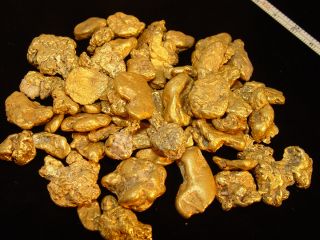 Lot of Heavy Canadian Natural Gold Nuggets 8 84 Troy Ozs