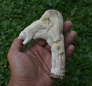   Carving 133mm Knive Cane Sticks Handle in Deer Antler Bali Carving