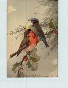 Catharina Klein The Birds Antique Colored Postcard 171863