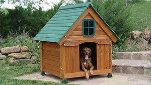 New Dog House Cedar Wood, Hinged Roof, Attractive Outdoor All Weather 