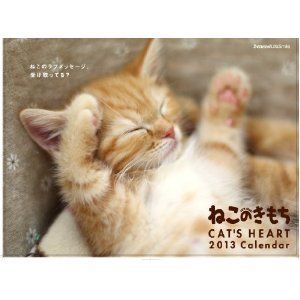 New Cats Heart 2013 Paper Calendar Cute Cat F s 