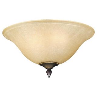 NEW 3 Light Ceiling Fan Lighting Kit, Oil Rubbed Bronze, Honey Glass 