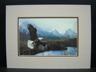 Charles Frace Freedom II Bald Eagle Matted Mini Print