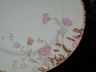 Superb Antique Charles Field Haviland Limoges Porcelain Plate Gilder 