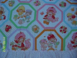Strawberry Shortcake Vintage Twin Canopy American Greetings Corp  