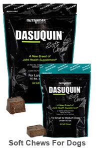 Dasuquin Soft Chews 84 Count Large Dog Free PM SHIP