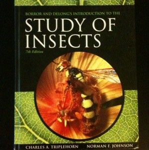   to the Study of Insects by Boror, Charles A. Triplehorn, D