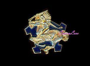 US Army 9th Cavalry Regt Military Lapel Pin Hat Pin