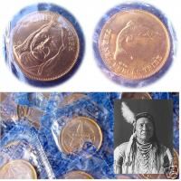 Chief Joseph Nez Perces Tribe Copper Coin Mint