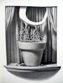 The Z Was Zapped Chris Van Allsburg The Alphabet Theater Like New 1987 