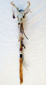 Cherokee Indian Handmade Deer Skull 43 Dance Stick