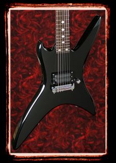 come with manufacturer s warranty chuck schuldiner onyx tribute