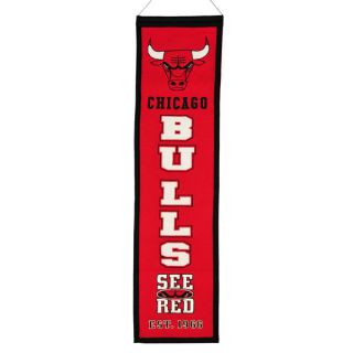 chicago bulls vertical banner