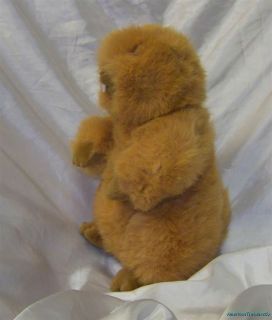 Adorable Gund Plush Chubby Orange Woodchuck/Groundhog   Retired