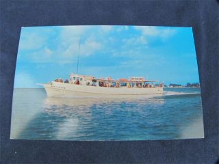 Vintage Postcard Deep Sea Fishing Clearwater FL Rainbow
