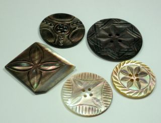 Beautiful Carved Victorian Shell Buttons