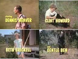  TV Series 1967 35 Episodes on DVD Dennis Weaver Clint Howard