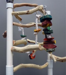 AL2 Manzanita Activity Center Parrot Tree Bird Stand Toy Play Gym Like