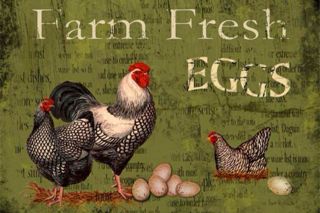 Green Farm Fresh Egg Metal Sign Country Primitive Farm Barn Kitchen