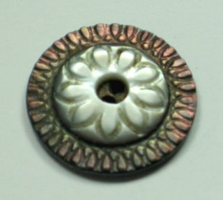 Carved Victorian Shell Whistle Button with A Floral Design