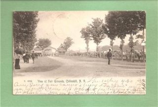 ronlaguardia store cobleskill ny vintage 1905 postcard fair grounds