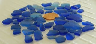 Genuine Beach Sea Glass Cobalt Cornflower Irregular Lot Surf Tumbled
